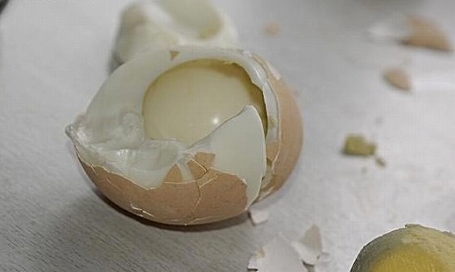 鸡蛋9