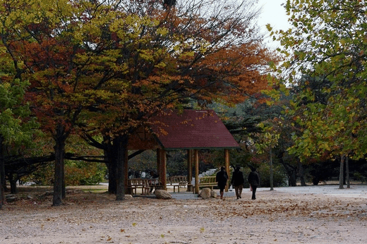 中山公園の秋の景色の移り変わり